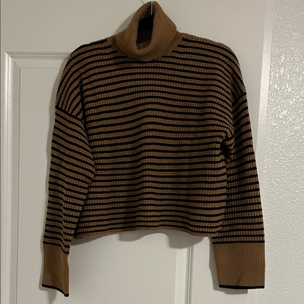 Madewell Black and Brown Striped Turtleneck Sweater